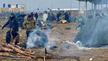 An der belarusisch-polnischen Grenze harren seit Tagen Tausende Migranten aus. © picture alliance Foto: Ulf Mauder