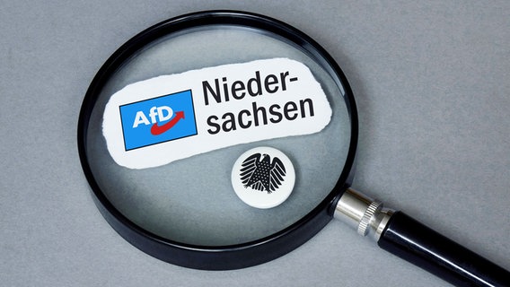 Eine Lupe liegt auf dem Logo der AfD von Niedersachsen und einem Button mit Bundesadler. (Themenbild AfD) © picture alliance / ZB | Sascha Steinach Foto: Sascha Steinach