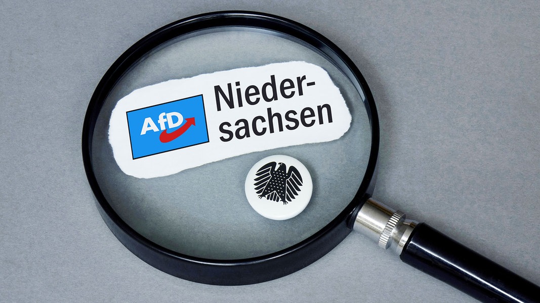 Eine Lupe liegt auf dem Logo der AfD von Niedersachsen und einem Button mit Bundesadler. (Themenbild AfD)