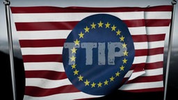 Flagge mit rot-weißen Querstreifen und dunkelblauem EU-Kreis. In der Mitte steht TTIP. © NDR 