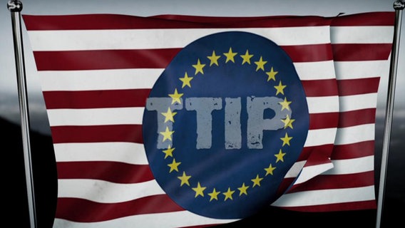 Flagge mit rot-weißen Querstreifen und dunkelblauem EU-Kreis. In der Mitte steht TTIP. © NDR 