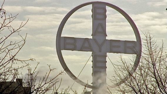 Bayer  