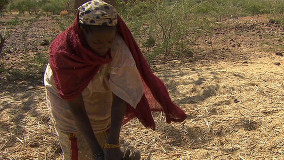 Bäuerin in der Sahelzone bei der Zubereitung von Hirse. © NDR/artdocu 