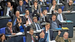 Abgeordnete der AfD-Fraktion sitzen im Bundestag auf ihren Plätzen und heben bei einer Abstimung ihre Hände. © dpa-Bildfunk Foto: Bernd von Jutrczenka