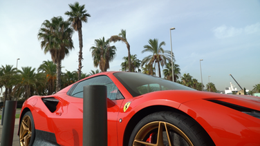 Ein Ferrari steht als Luxussymbol unter Palmen. © NDR/ARD 