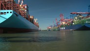 Mehrere Containerschiffe © NDR 
