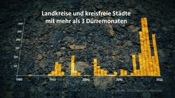 Eine Graphik zu Dürremonaten in Deutschland. © NDR 