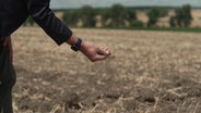 Eine Hand zerbröselt trockene Erde auf einem Feld. © NDR 