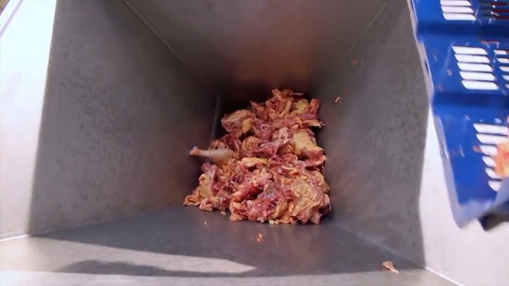 Fleischknochen liegen in einem Metallbehälter © ARD/NDR 