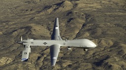 Die US-Kampfdrohen "Predator" am Himmel © dpa / picture-alliance 