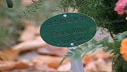 Grabschild mit dem Namen von Cemal Altun.  