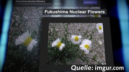Ein Bild zeigt mutierte Blumen. Foto: Screenshot