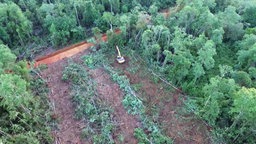 Bagger fällt Bäume im indonesischen Regenwald © NDR Foto: Screenshot