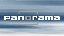 Panorama Logo  