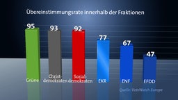 Übereinstimmungsrate der EU-Fraktionen © NDR Foto: Screenshot