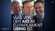 Jörg Meuthen, Marcus Pretzell und Bernd Lucke © NDR Foto: Screenshot