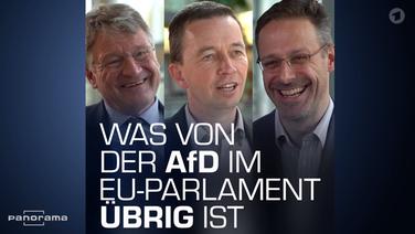 Jörg Meuthen, Marcus Pretzell und Bernd Lucke © NDR Foto: Screenshot