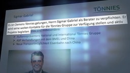 Die Personalie Sigmar Gabriel beim Unternehmensbeirat des Fleischproduzenten Tönnies © NDR/ARD Foto: Screenshot