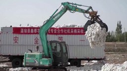 Baumwollernte in China © NDR / ZEIT / FLIP 
