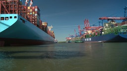 Mehrere Containerschiffe © NDR 