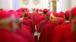 Bischöfe von hinten gesehen bei der Bischofskonferenz in Fulda © picture-alliance/ dpa Foto: Arne Dedert